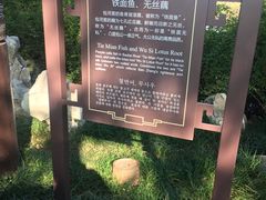 -包公祠