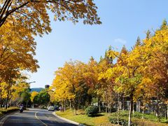 -石湖景区