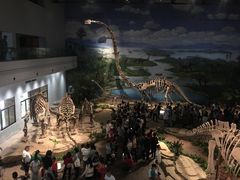 -自贡恐龙博物馆