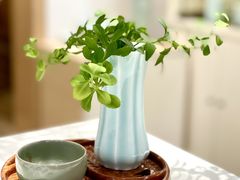 -隆德堂青瓷艺术·茶馆(故宫店)