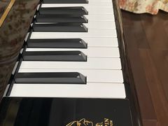 -柏斯琴行(汾阳店)