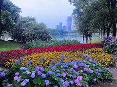 -艾溪湖湿地公园