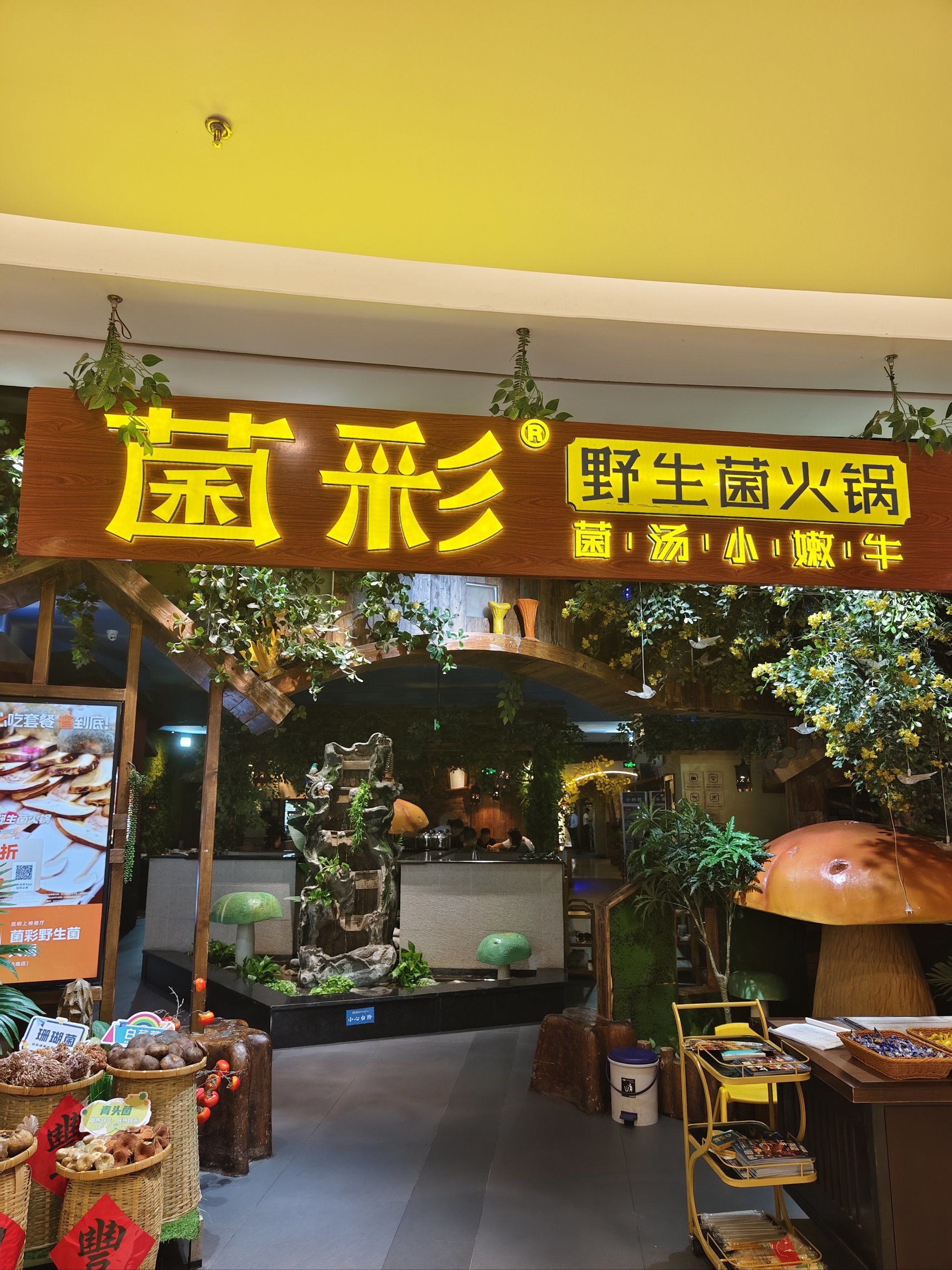 吃菌就选菌彩