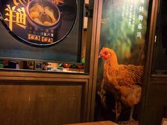 -云海肴·汽锅鸡·云南菜(美罗城店)