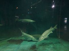 -洛阳龙门海洋馆