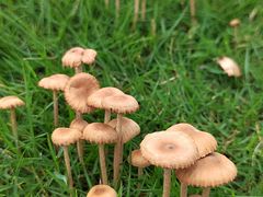 -白石龙音乐公园