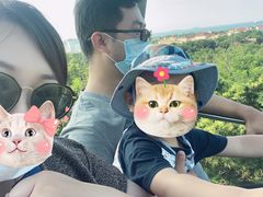 -青岛中山公园-索道售票处