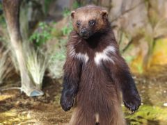 -正佳自然科学博物馆