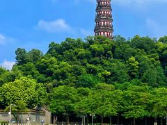 -顺峰山公园