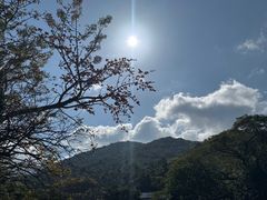 -海南霸王岭国家森林公园