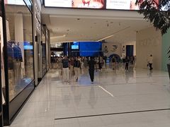 -迪拜水族馆及水下动物园