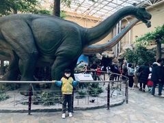 -国家自然博物馆