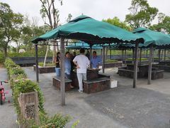 -春花秋色城市公园