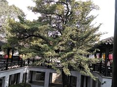 -木渎古镇