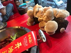 -谭鸭血老火锅(漳州路店)