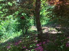 -南通洲际绿博园