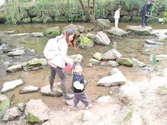 -重庆彩云湖湿地公园
