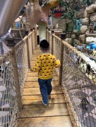 -卡通尼·Safari非洲探索乐园·生日会(金桥国际商业广场店)