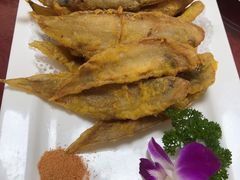 炸牛舌头鱼-春来酒家