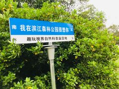 -上海滨江森林公园