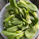 最简单的基础菜—家常炒青菜