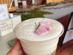 桃桃冷萃-Seesaw Coffee(朝阳大悦城店)