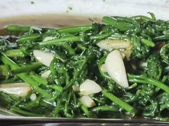 -绿光森林餐厅
