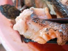 清蒸老虎石斑鱼-范饭椰林川湘味海鲜·椰子鸡(三亚湾椰梦长廊店)