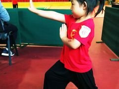 -武术世家少儿培训中心(首都体育学院店)