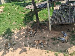 -西霞口神雕山野生动物世界