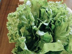 -同仁四季椰子鸡(无锡滨湖万象汇店)