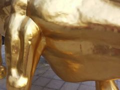 -盈丰路(地铁站)