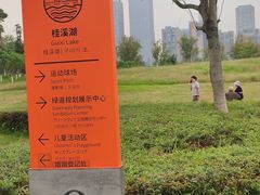 -桂溪生态公园