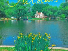 -上海共青森林公园