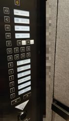 -苏州希尔顿酒店-宴会厅