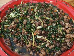 -东吴霸王兔(松青路店)