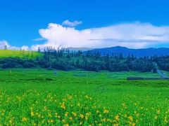 -花湖生态旅游区
