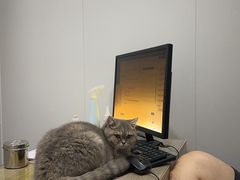 -荔康动物医院(康王北路店)