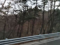 -崂山巨峰游览区