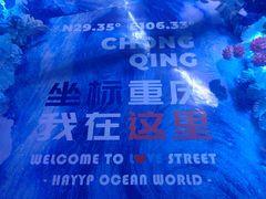 -重庆欢乐海底世界