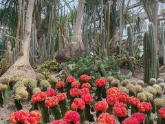 -南山植物园