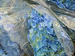 -循礼门鲜花花市(武汉循礼门店)