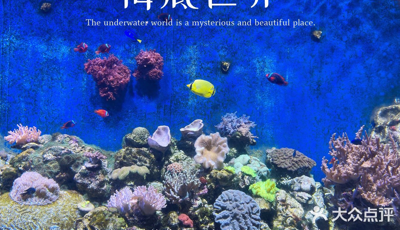 珠海长隆海洋王国超实用攻略❗️下篇