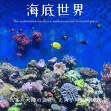 珠海长隆海洋王国超实用攻略❗️下篇