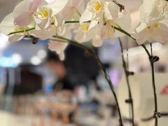 -Peet's Coffee皮爷咖啡(德基店)
