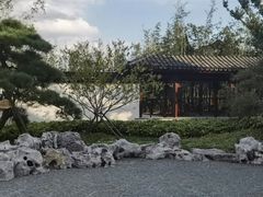 -上海滨江森林公园