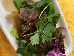 -新旺美食林农家菜(岭南路店)