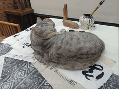 -甲乙丁書店·书茶咖·四合院