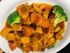 -陈麻婆豆腐总店