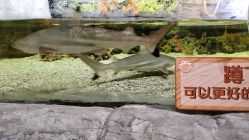 -Zoolung Zoolung动物主题公园(海信广场店)